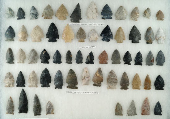 Nice large selection of approximately 59 Brewerton points found in north central Ohio.