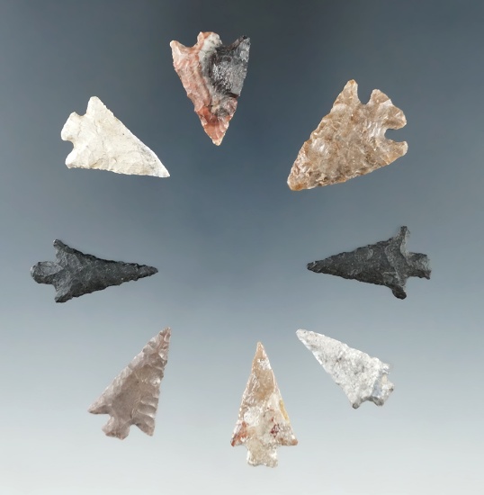 Set of 8 Columbia River arrowheads, largest is 1".