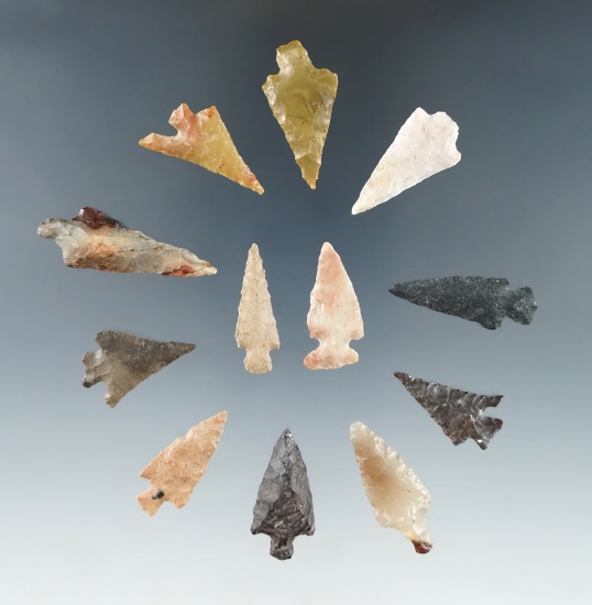 Groupd of 12 assorted Columbia River arrowheads, largest is 1 7/16".