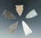 Set of five assorted arrowheads found in the Plains region, largest is 1 1/4