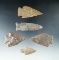 Nice set of five large arrowheads found in Texas, largest is 3