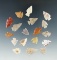 Set of 18 Colorado Arrowheads, largest is 7/8