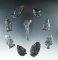 Set of nine Coshocton Flint arrowheads found in Fairfield Co., Ohio, largest is 2 5/16