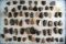 Large group of approximately 65 mostly Knife River Flint scrapers found in Emmons Co., ND.