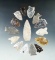 Set of 15 assorted arrowheads found in the High Plains region, largest is 2 3/8