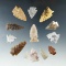 Set of 13 assorted arrowheads found in the High Plains region, largest is 1 3/8