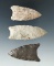 Set of three restored paleo fluted and unfluted Clovis points found in Ohio. Largest is 2 1/2