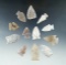 Set of 12 assorted arrowheads found in the High Plains region, largest is 1 9/16