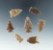 Set of seven nice arrowheads found in the Dakotas, largest is 1 3/8