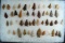 Nice group! Approximately 48 assorted points from the collection of Bob Roth found in Colorado.