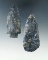 Pair of Coshocton Flint arrowheads found in Ashland Co., near the town of Sullivan.