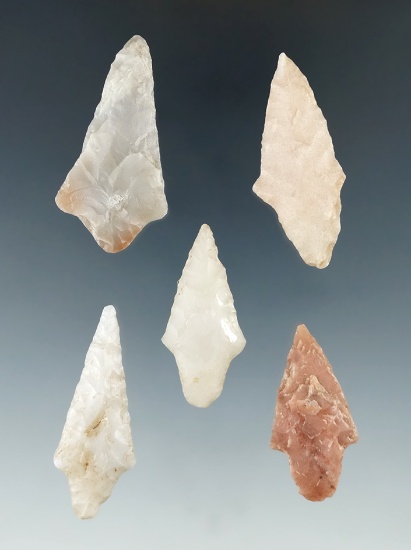 5 nice arrowheads. Part of a group found by Glenn McDonald along the Red and little Missouri rvr