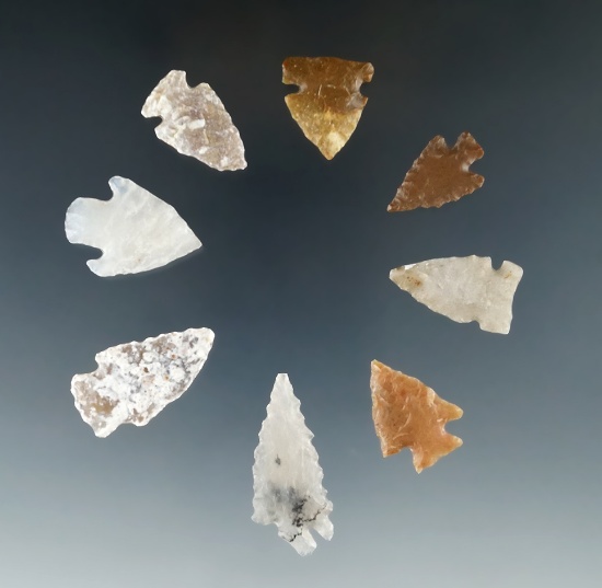 Set of 8 Colorado Arrowheads, largest is 1 5/16". Ex. Bob Roth Collection.
