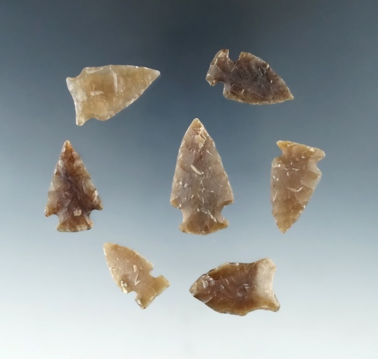 Set of seven nice arrowheads found in the Dakotas, largest is 1 3/8".