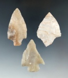 Set of three colorful points found in Florida, largest is 2 3/16