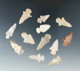 Set of 12 assorted arrowheads made from nice material. Red and little Missouri rivers.
