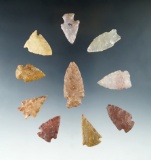 Set of 10 Colorado Arrowheads, largest is 1 3/4