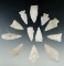 Set of 12 Quartz arrowheads found in Virginia, largest is 2 1/4
