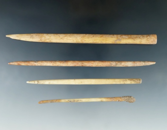 Set of four bone awl's or pins found in Tennessee, largest is 5 and