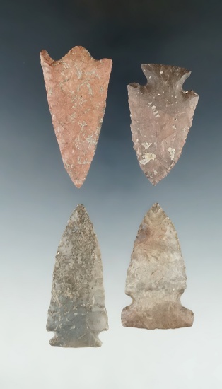 For nice Tennessee arrowheads, largest is 2 Lou