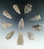 Set of 10 assorted Tennessee arrowheads, largest is 2