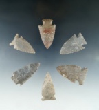 Set of six assorted Tennessee arrowheads, largest is 1 3/4