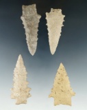 Nice set of four Kirk serrated points found in Tennessee, largest is 2 9/16