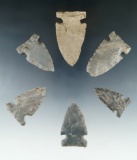 Set of six sidenotch arrowheads found in Tennessee, largest is 2 1/4