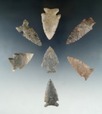 Set of seven assorted Tennessee arrowheads, largest is 2 1/16