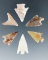 Set of six assorted Gempoints from the Columbia River, a couple are nicely translucent.