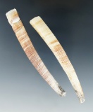 Pair of extremely large Dentalium Shell beads from the Leon Wiley collection. Largest is 4