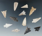 Group of 12 assorted arrowheads found near the Columbia River, largest is 1 1/8