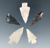 Set of five assorted arrowheads found near the Columbia River, largest is 1 3/8