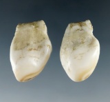 Pair of elk eye teeth (or wapiti whistlers) from the Dewey Schmid collection. Both around 1 1/8