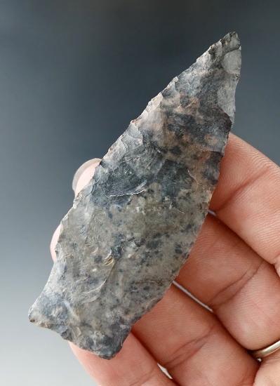 2 7/8" Coshocton Flint Paleo Stemmed Lanceolate found in Ashland Co., Ohio.