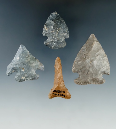 Set of three arrowheads and a drill all found in Ohio, largest is 1 3/4". Ex. Dean Driskill.