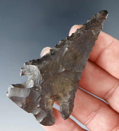 2 3/4" Archaic Thebes Bevel that is heavily patinated found in Marion Co., Ohio.