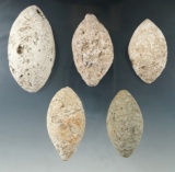 Set of five Bi-pointed aboriginal bolo stonescollected on the shores of the island of Guam by a G.I.