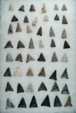 Nice group of approximately 48 Triangle points collected around Erie Co., Ohio by James Brown.