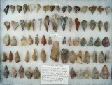 Very large assortment of Pipe Creek chert tools - around Erie Co., Ohio by the late James Brown.
