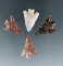 Set of 4 very nice Columbia River Points, longest is 1