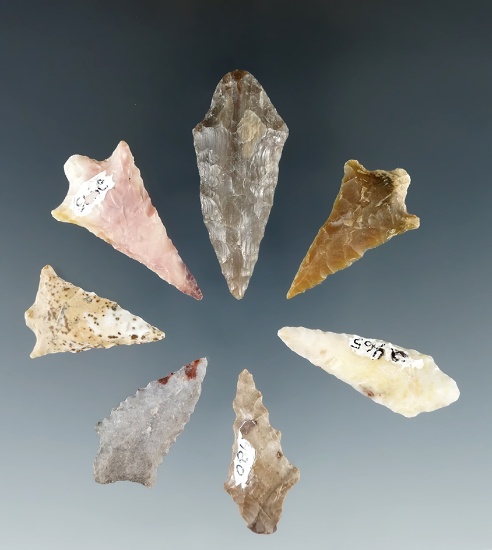 Group of 7 Rabbit Island Points, longest is 1 3/4", found near the Columbia River.