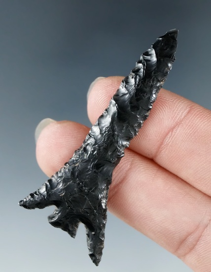 Large 2 1/4" Columbia Plateau made from Obsidian, found near the Columbia River.