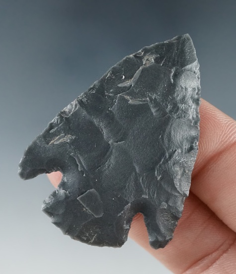 1 7/8" Black Jasper Basal Notch, found near the Columbia River.