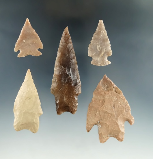 Five nicely styled Texas artifacts, largest is 3 1/16".