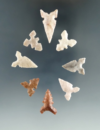 Set of eight assorted Texas birdpoints, largest is 1 1/16".