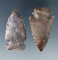 Pair of Flint Ridge Points found in Ohio.  Largest is 2 1/8