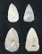 Group of 4 Flint Ridge Adena Blades found in Ohio.  Largest is 3