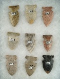 Group of 9 Sidenotch Points found in Ohio and Indiana.  Largest is 2 1/16