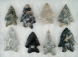 Group of 8 Coshocton Flint Bifurcates found in Ohio, one has a small area of restoration.